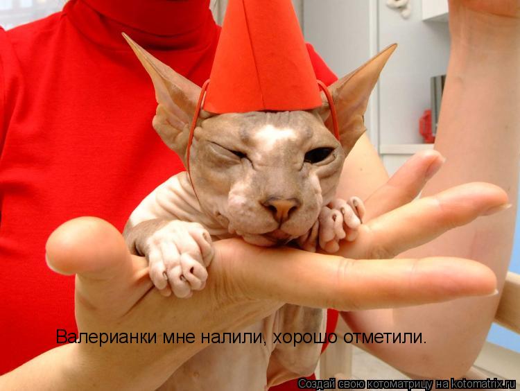 Валерианки мне налили, хорошо отметили.... Котоматрица: Валерианки мне налили, хорошо отметили.
