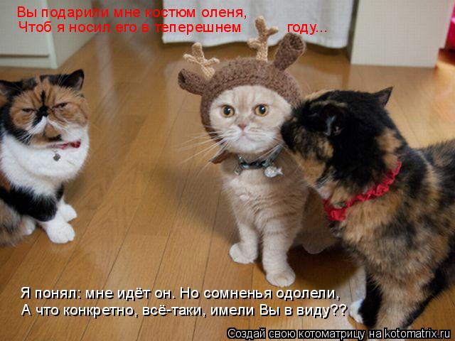 Вы подарили мне костюм оленя, Чтоб я носил его в теперешнем году... Я понял: мне идёт он. Но сомненья... Котоматрица: Вы подарили мне костюм оленя, Чтоб я носил его в теперешнем году... Я понял: мне идёт он. Но сомненья одолели, А что конкретно, всё-таки, имели В