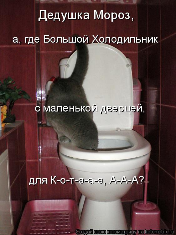 Дедушка Мороз, а, где Большой Холодильник с маленькой дверцей, для К-о-т-а-а-а, А-А-А?... Котоматрица: Дедушка Мороз, а, где Большой Холодильник с маленькой дверцей, для К-о-т-а-а-а, А-А-А?