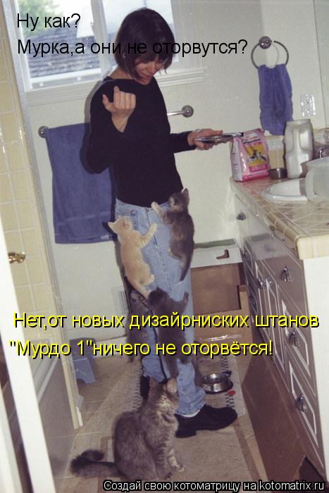 Ну как? Мурка,а они не оторвутся? Нет,от новых дизайрниских штанов "Мурдо№1"ничего не оторвётся!... Котоматрица: Ну как? Мурка,а они не оторвутся? Нет,от новых дизайрниских штанов "Мурдо№1"ничего не оторвётся!
