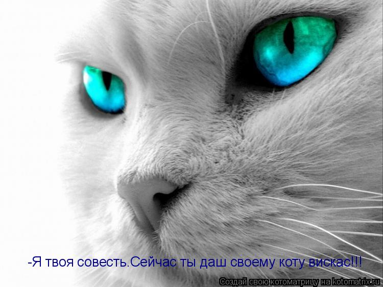 -Я твоя совесть.Сейчас ты даш своему коту вискас -Я твоя совесть.Сейчас ты даш своему коту вискас!!!... Котоматрица: -Я твоя совесть.Сейчас ты даш своему коту вискас -Я твоя совесть.Сейчас ты даш своему коту вискас!!!