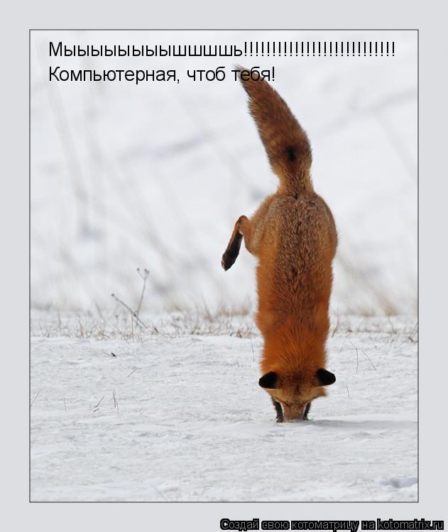 Мыыыыыыыышшшшь!!!!!!!!!!!!!!!!!!!!!!!!!!! Компьютерная, чтоб тебя!... Котоматрица: Мыыыыыыыышшшшь!!!!!!!!!!!!!!!!!!!!!!!!!!! Компьютерная, чтоб тебя!