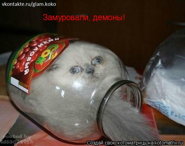Замуровали, демоны!... Котоматрица: Замуровали, демоны!