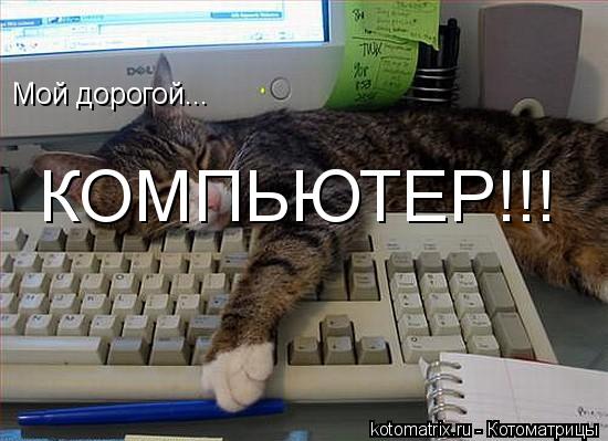 Мой дорогой... КОМПЬЮТЕР!!!... Котоматрица: Мой дорогой... КОМПЬЮТЕР!!!