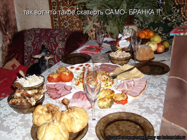 так вот что такое скатерть САМО- БРАНКА !!... Котоматрица: так вот что такое скатерть САМО- БРАНКА !!