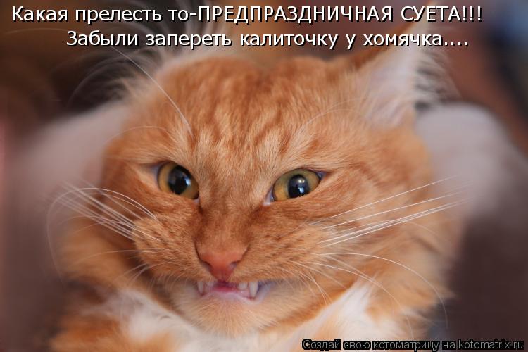 Какая прелесть то-ПРЕДПРАЗДНИЧНАЯ СУЕТА!!! Забыли запереть калиточку у хомячка....... Котоматрица: Какая прелесть то-ПРЕДПРАЗДНИЧНАЯ СУЕТА!!! Забыли запереть калиточку у хомячка....