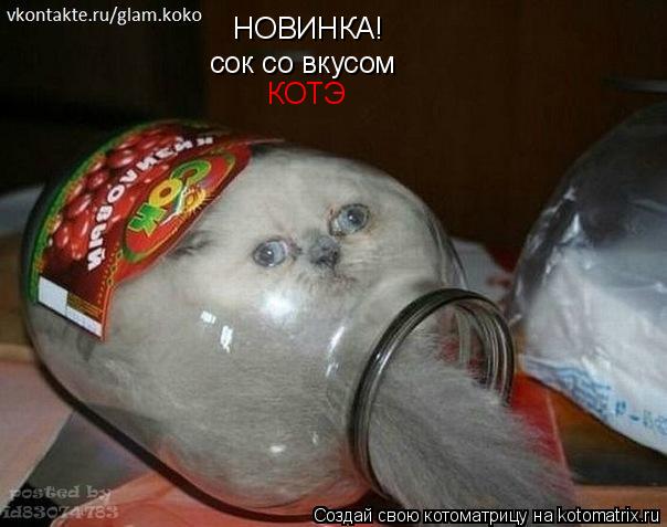 НОВИНКА! сок со вкусом КОТЭ... Котоматрица: НОВИНКА! сок со вкусом КОТЭ