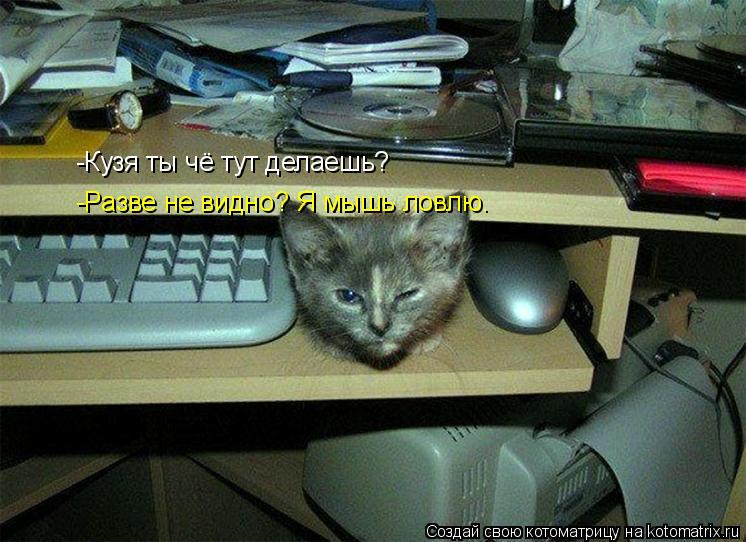 -Кузя ты чё тут делаешь? -Разве не видно? Я мышь ловлю.... Котоматрица: -Кузя ты чё тут делаешь? -Разве не видно? Я мышь ловлю.