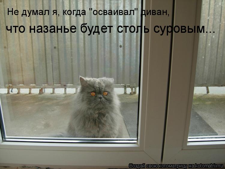 что назанье будет столь суровым... Не думал я, когда "осваивал" диван,... Котоматрица: что назанье будет столь суровым... Не думал я, когда "осваивал" диван,
