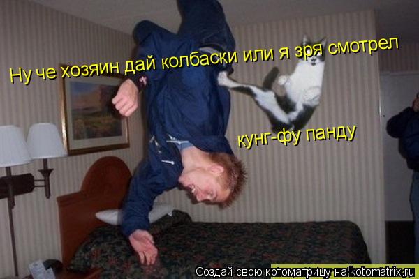 Ну че хозяин дай колбаски или я зря смотрел кунг-фу панду... Котоматрица: Ну че хозяин дай колбаски или я зря смотрел кунг-фу панду