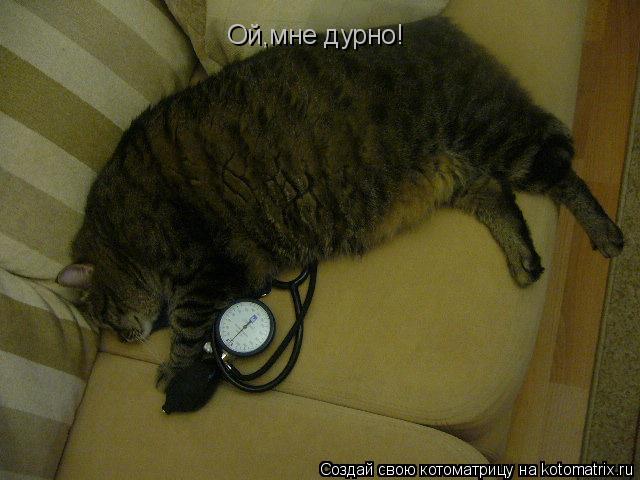 Ой,мне дурно!... Котоматрица: Ой,мне дурно!