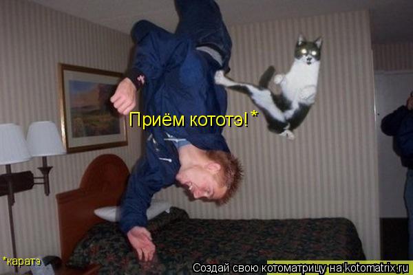 Приём кототэ! * *каратэ... Котоматрица: Приём кототэ! * *каратэ