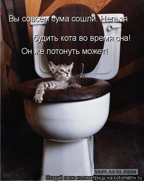 Вы совсем сума сошли. Нельзя будить кота во время сна! Он же потонуть может!... Котоматрица: Вы совсем сума сошли. Нельзя будить кота во время сна! Он же потонуть может!