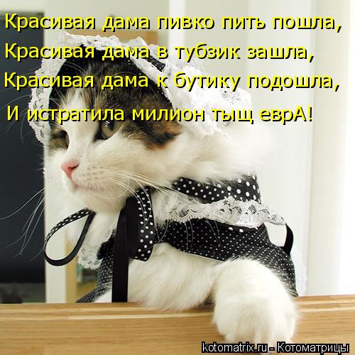 Красивая дама пивко пить пошла, Красивая дама в тубзик зашла, Красивая дама к бутику подошла, И истра... Котоматрица: Красивая дама пивко пить пошла, Красивая дама в тубзик зашла, Красивая дама к бутику подошла, И истратила милион тыщ еврА!