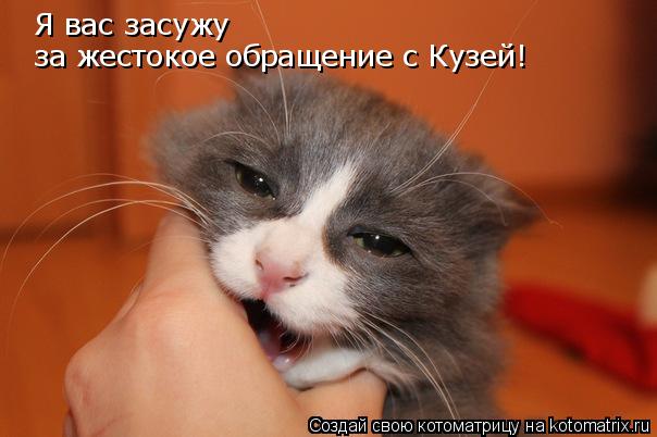 Я вас засужу за жестокое обращение с Кузей!... Котоматрица: Я вас засужу за жестокое обращение с Кузей!