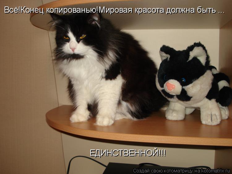 Всё!Конец копированью!Мировая красота должна быть ... ЕДИНСТВЕННОЙ!!!... Котоматрица: Всё!Конец копированью!Мировая красота должна быть ... ЕДИНСТВЕННОЙ!!!