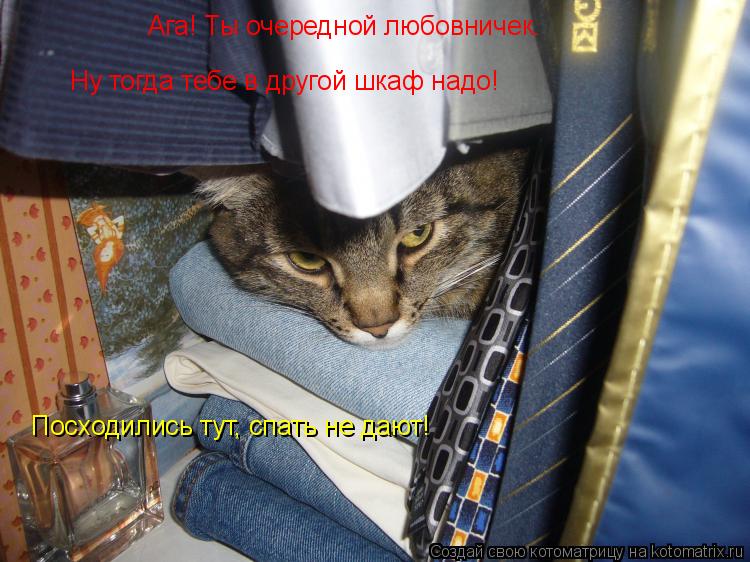 Ага! Ты очередной любовничек. Ну тогда тебе в другой шкаф надо! Посходились тут, спать не дают!... Котоматрица: Ага! Ты очередной любовничек. Ну тогда тебе в другой шкаф надо! Посходились тут, спать не дают!