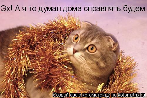 Эх! А я то думал дома справлять будем.... Котоматрица: Эх! А я то думал дома справлять будем.