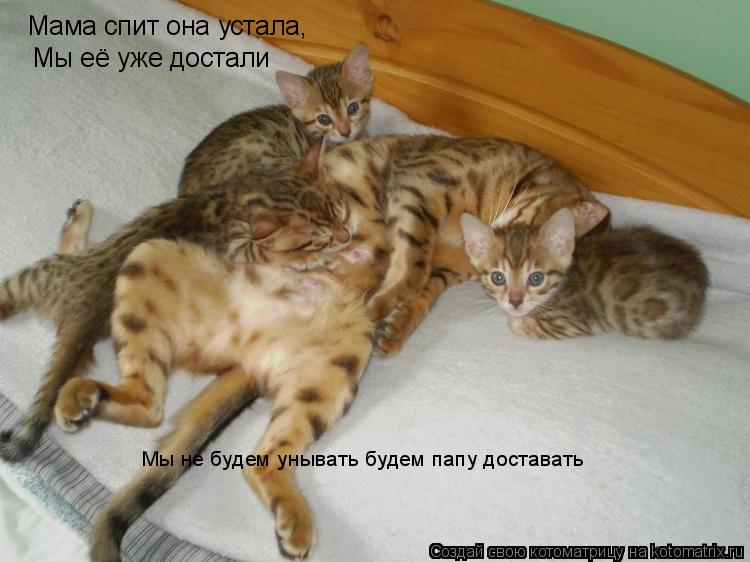 Мама спит она устала, Мы её уже достали Мы не будем унывать будем папу доставать... Котоматрица: Мама спит она устала, Мы её уже достали Мы не будем унывать будем папу доставать