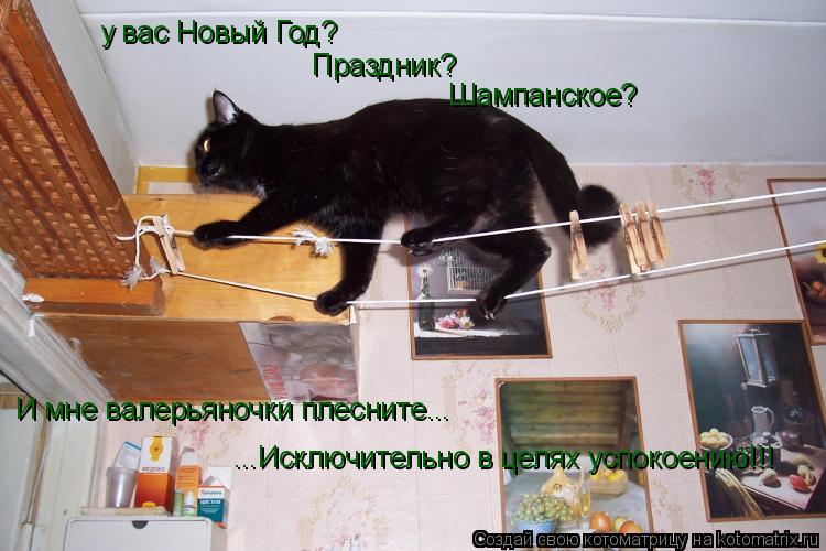 Котоматрица: у вас Новый Год? Праздник? Шампанское? И мне валерьяночки плесните... ...Исключительно в целях успокоению!!!