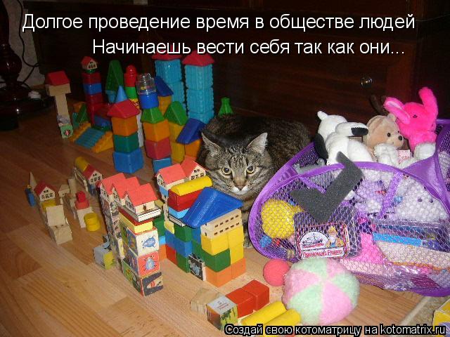 Котоматрица: Долгое проведение время в обществе людей Начинаешь вести себя так как они...