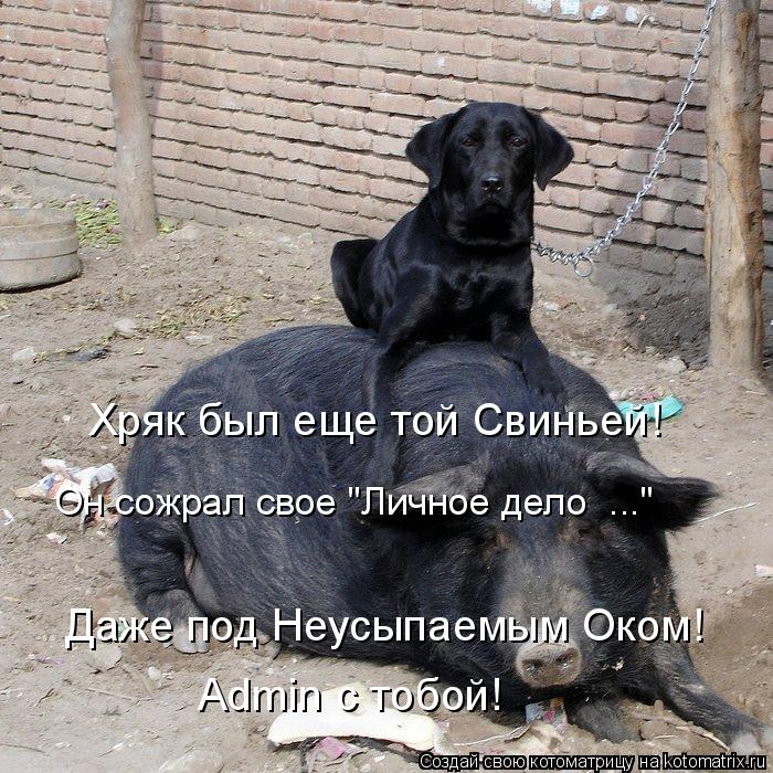 Котоматрица: Хряк был еще той Свиньей! Даже под Неусыпаемым Оком! Admin с тобой! Он сожрал свое "Личное дело №..."