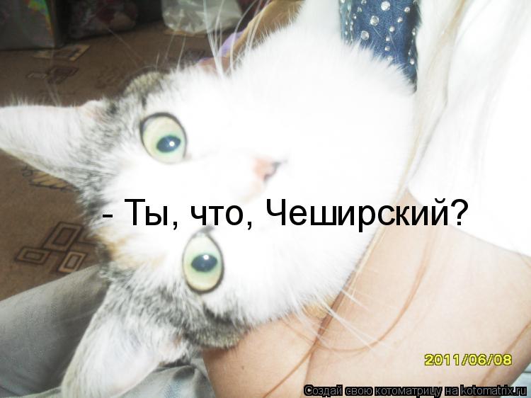 Котоматрица: - Ты, что, Чеширский?