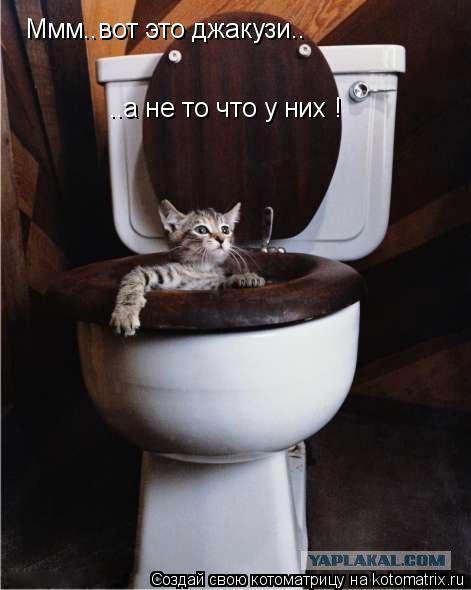 Котоматрица: Ммм..вот это джакузи..  ..а не то что у них !