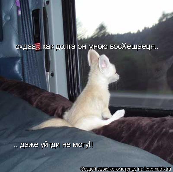 Котоматрица: охдаа.. как долга он мною восХещаеця.. .. даже уйтди не могу!!