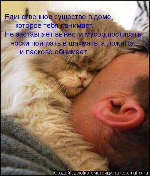 Котоматрица: Единственное существо в доме, которое тебя понимает. Не заставляет вынести мусор,постирать  носки,поиграть в шахматы,а ложится и ласково об