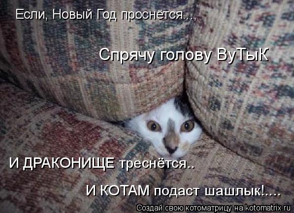 Котоматрица: Если, Новый Год проснётся...,  И ДРАКОНИЩЕ треснётся.. И КОТАМ подаст шашлык!.... Спрячу голову ВуТыК