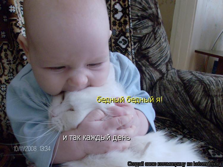 Котоматрица: и так каждый день бедный бедный я!