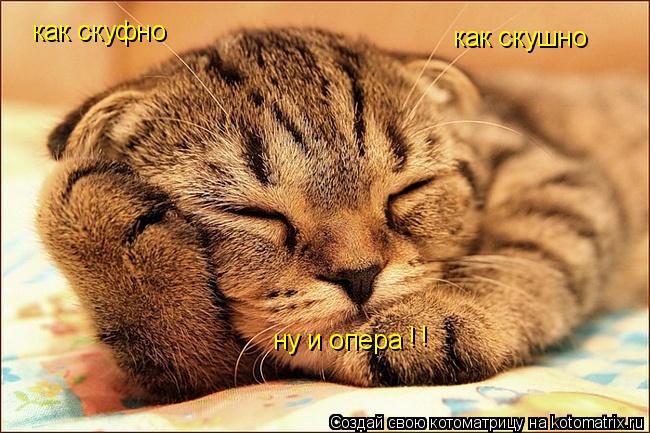 Котоматрица: как скуфно как скушно ну и опера ! !