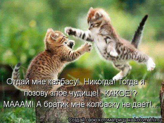 Котоматрица: Отдай мне калбасу!  Никогда! Тогда я позову злое чудище! КАКОЕ!? МАААМ! А братик мне колбаску не даёт!...