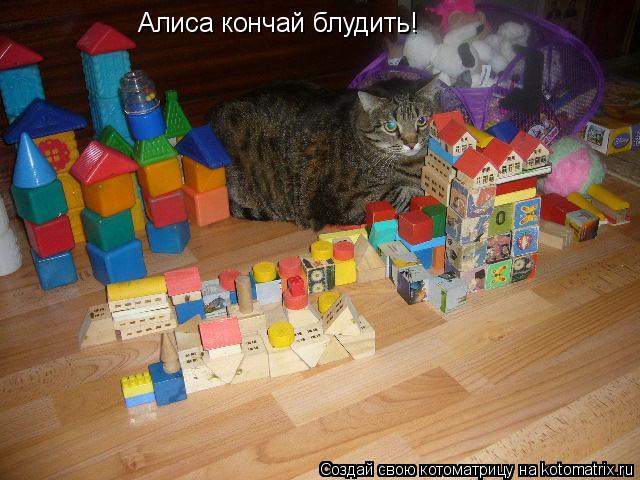 Котоматрица: Алиса кончай блудить!