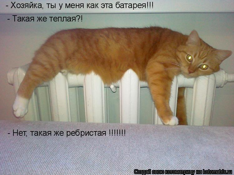 Котоматрица: - Хозяйка, ты у меня как эта батарея!!!  - Такая же теплая?!  - Нет, такая же ребристая !!!!!!!