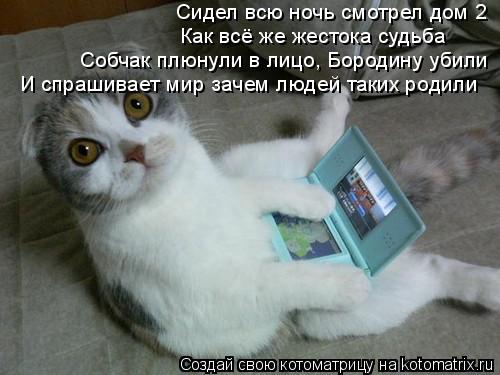 Котоматрица: Сидел всю ночь смотрел дом 2 Как всё же жестока судьба Собчак плюнули в лицо, Бородину убили И спрашивает мир зачем людей таких родили