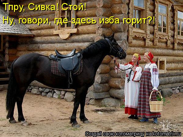 Котоматрица: Тпру, Сивка! Стой!  Ну, говори, где здесь изба горит?!