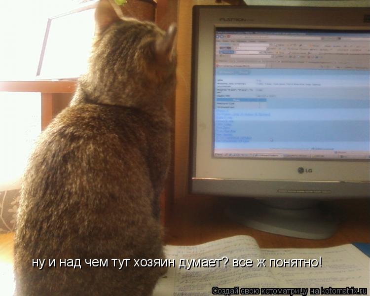 Котоматрица: ну и над чем тут хозяин думает? все ж понятно!
