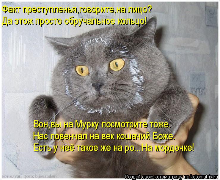 Факт преступленья,говорите,на лицо? Да этож просто обручальное кольцо! Вон,вы на Мурку посмотрите тож... Котоматрица: Факт преступленья,говорите,на лицо? Да этож просто обручальное кольцо! Вон,вы на Мурку посмотрите тоже. Нас повенчал на век кошачий Боже. Ес