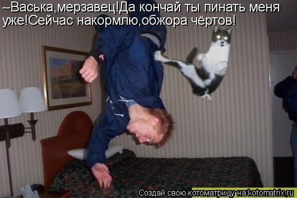 Котоматрица: --Васька,мерзавец!Да кончай ты пинать меня уже!Сейчас накормлю,обжора чёртов!