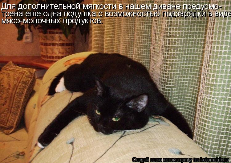 Котоматрица: Для дополнительной мягкости в нашем диване предусмо- трена ещё одна подушка с возможностью подзарядки в виде мясо-молочных продуктов.