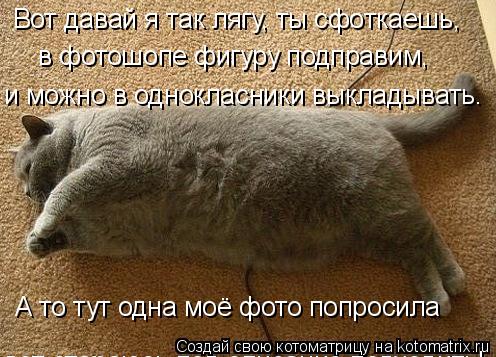 Вот давай я так лягу, ты сфоткаешь, в фотошопе фигуру подправим, и можно в однокласники выкладывать. ... Котоматрица: Вот давай я так лягу, ты сфоткаешь, в фотошопе фигуру подправим, и можно в однокласники выкладывать. А то тут одна моё фото попросила вот ста