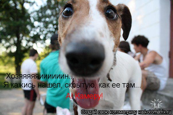 Хозяяяяяиииииин... Я кажись нашел, скрытую, как ее там... А! Камеру!... Котоматрица: Хозяяяяяиииииин... Я кажись нашел, скрытую, как ее там... А! Камеру!