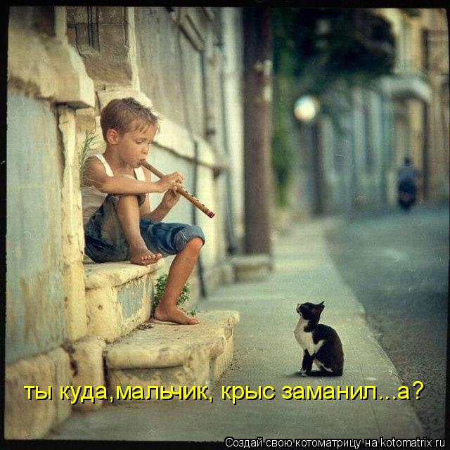 ты куда,мальчик, крыс заманил...а?... Котоматрица: ты куда,мальчик, крыс заманил...а?