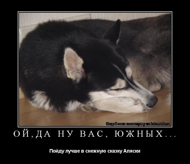 Котоматрица: Ой,да ну вас, южных... Пойду лучше в снежную сказку Аляски
