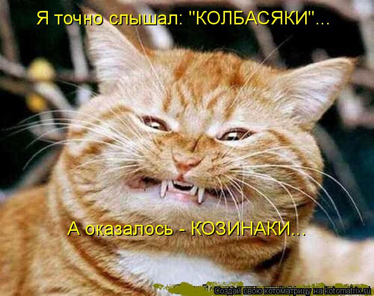 Я точно слышал: "КОЛБАСЯКИ"... А оказалось - КОЗИНАКИ...... Котоматрица: Я точно слышал: "КОЛБАСЯКИ"... А оказалось - КОЗИНАКИ...