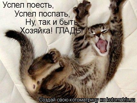 Успел поесть, Успел поспать, Ну, так и быть... Хозяйка! ГЛАДЬ!... Котоматрица: Успел поесть, Успел поспать, Ну, так и быть... Хозяйка! ГЛАДЬ!