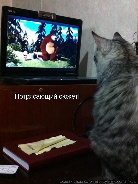 Потрясающий сюжет!... Котоматрица: Потрясающий сюжет!