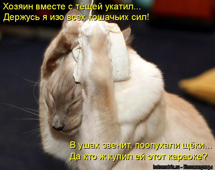Да кто ж купил ей этот караоке? В ушах звенит, поопухали щёки... Хозяин вместе с тёщей укатил... Держ... Котоматрица: Да кто ж купил ей этот караоке? В ушах звенит, поопухали щёки... Хозяин вместе с тёщей укатил... Держусь я изо всех кошачьих сил!